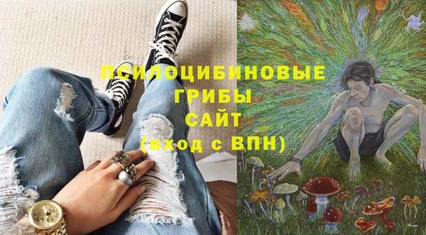 экстази Арсеньев