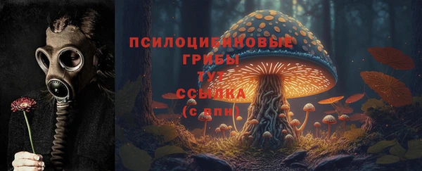герыч Алексин
